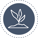 2017 Science Roadmap icon 6