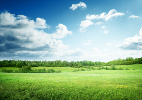 Green pastures under blue skies dotted with clouds.